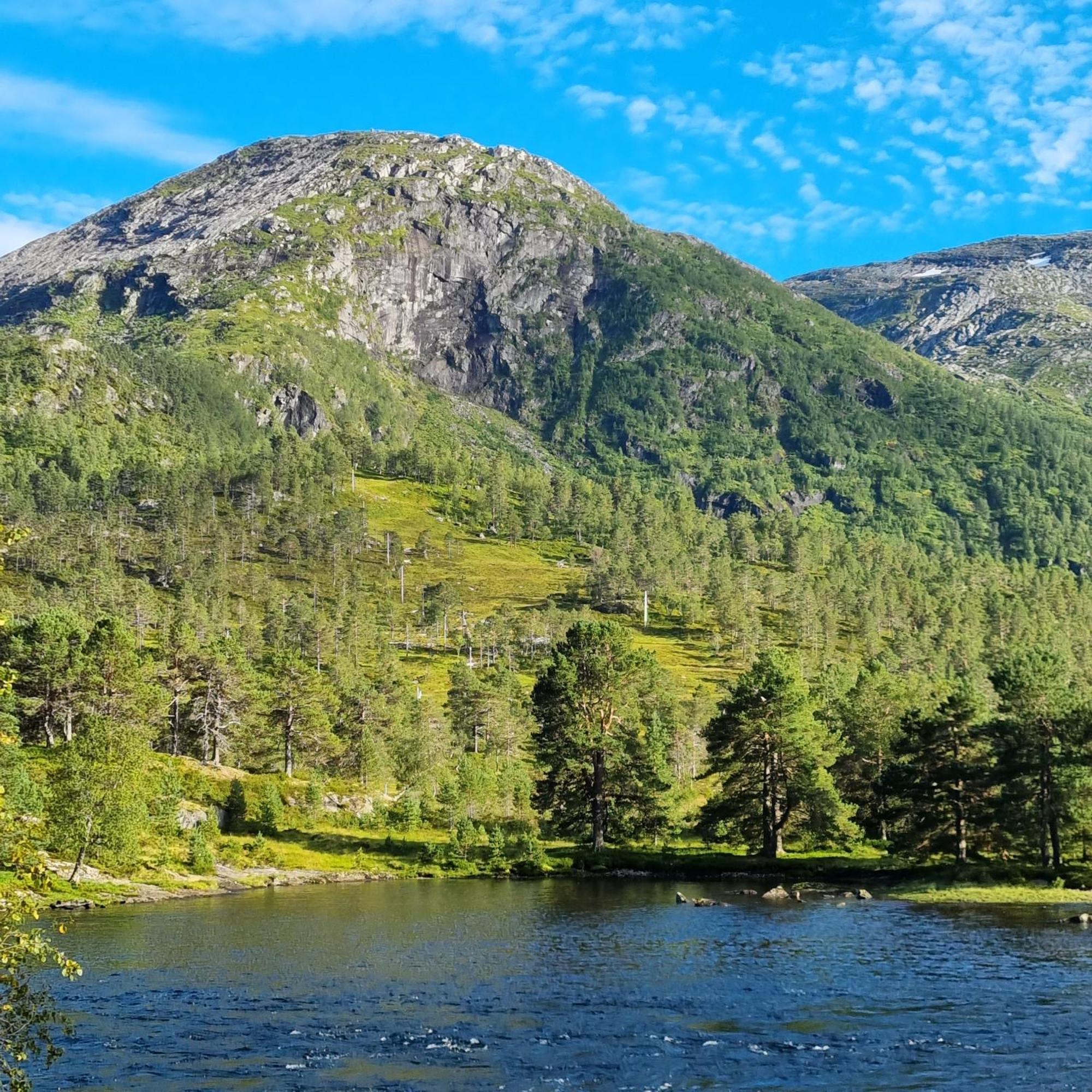 Отель Flatheim Glamping Viksdalen Экстерьер фото